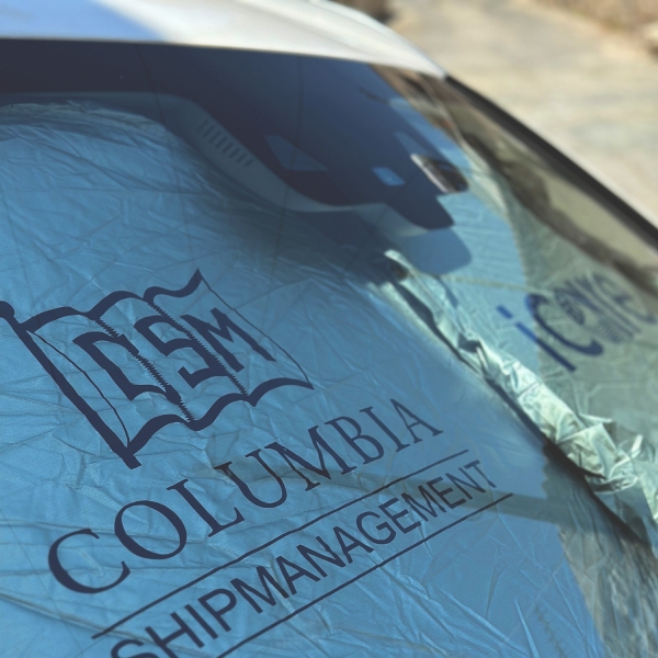 Picture of Car sunshade 