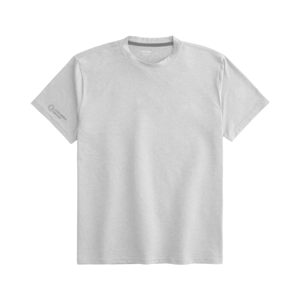 Picture of Hollister Crew Neck T-Shirt Light Grey - CG