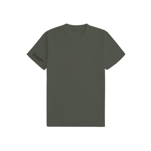 Picture of Hollister Crew Neck T-Shirt Khaki - CG 