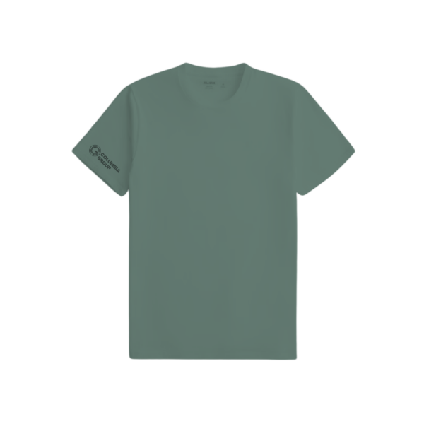 Picture of Hollister Crew Neck T-Shirt Green - CG 