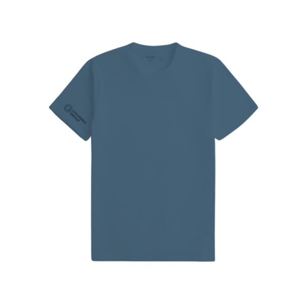 Picture of Hollister Crew Neck T-Shirt Dark Blue - CG  